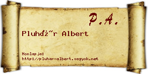 Pluhár Albert névjegykártya